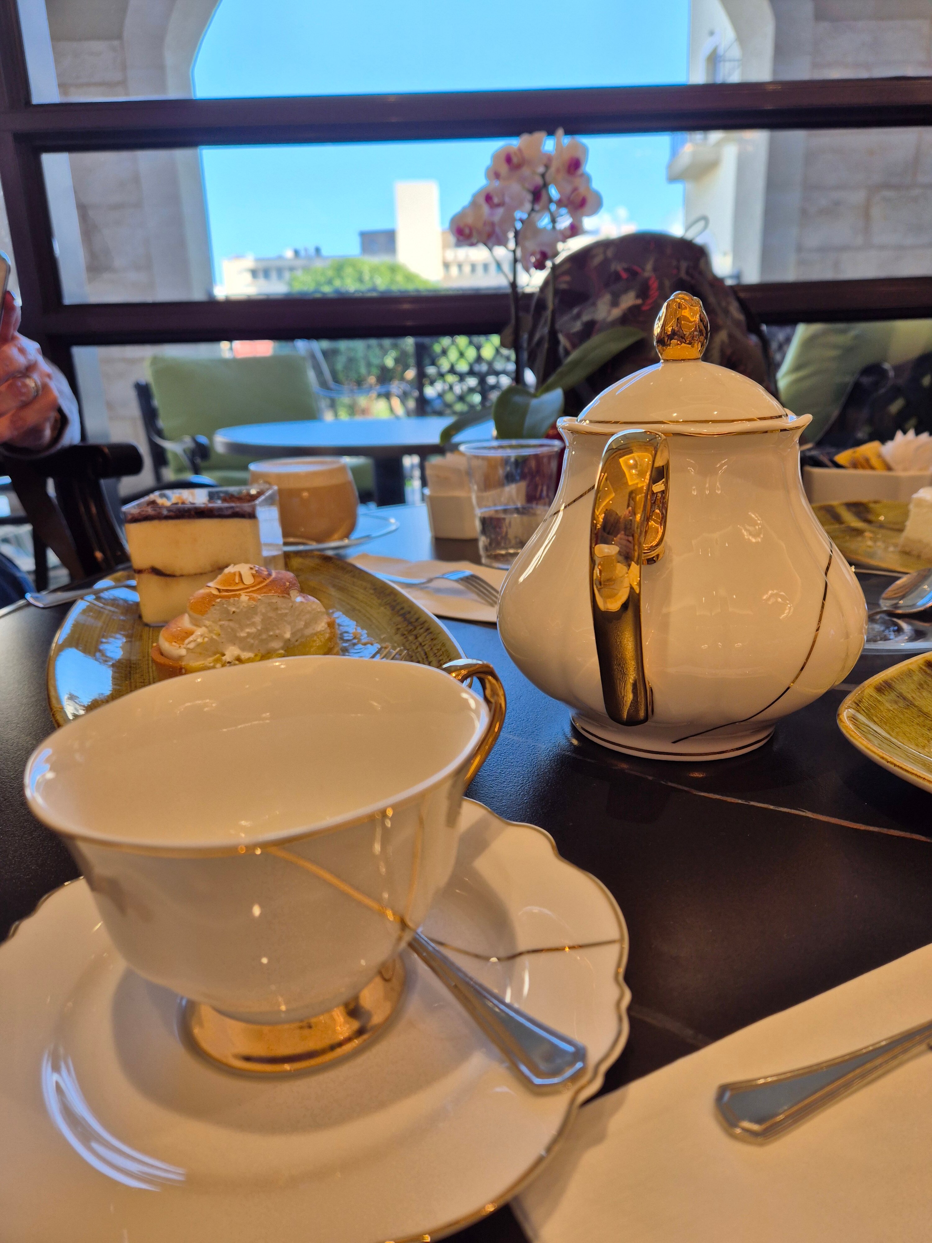 Botanica Haifa-官方