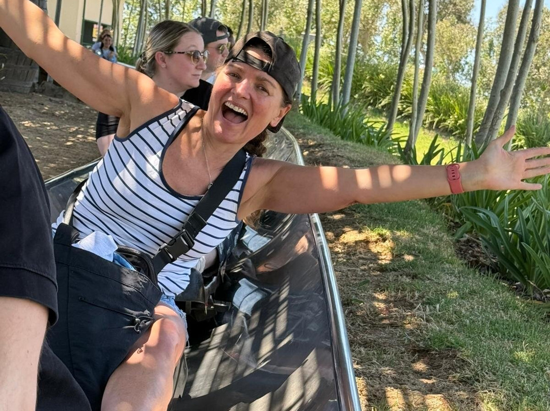 Cool Runnings-Bellville必去景点