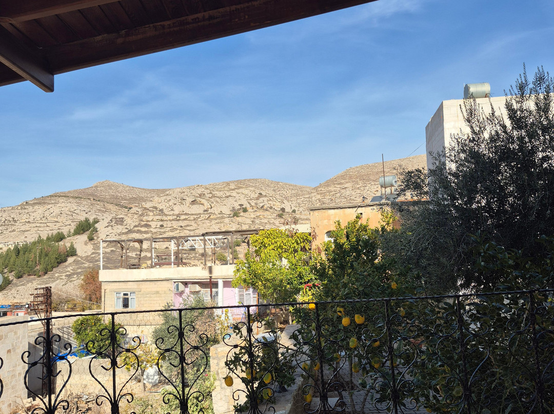 Türkmen Konağı Halfeti主图