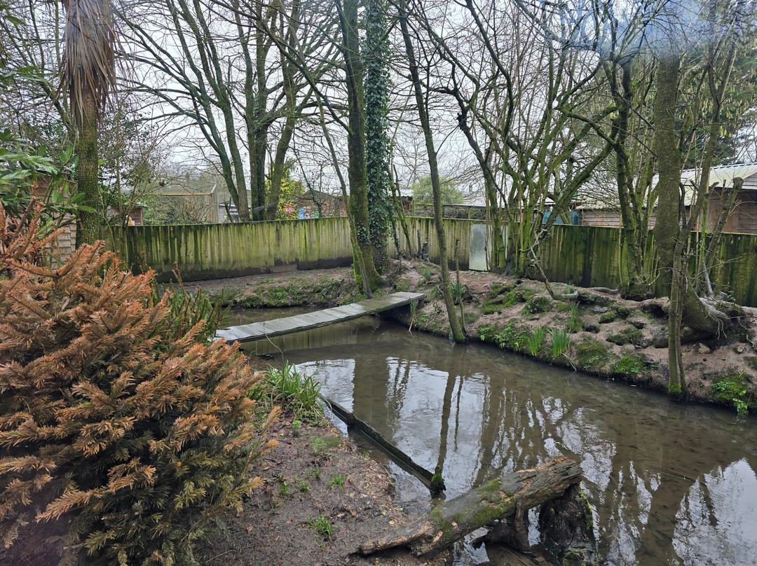 Axe Valley Wildlife Park-Axminster必去景点