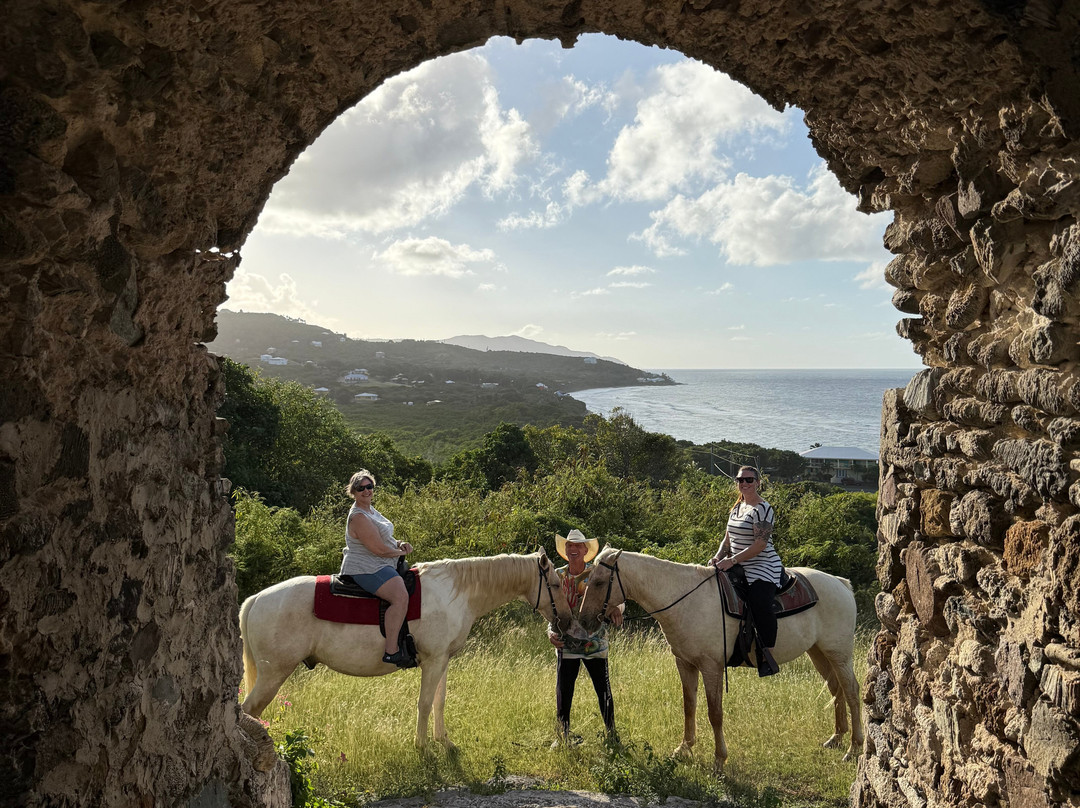 Cruzan Cowgirls-Frederiksted必去景点