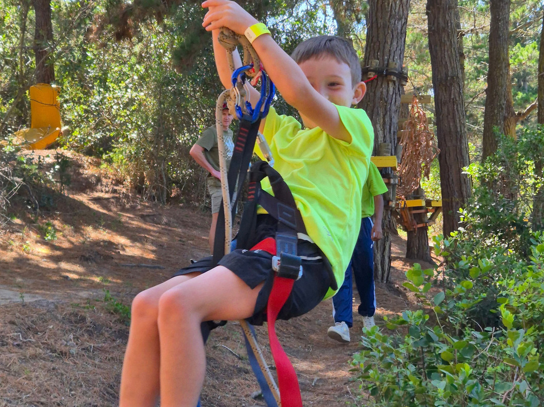Acrobranch Garden Route-荒野必去景点