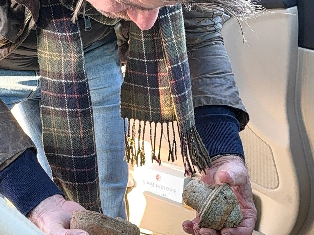 Flanders Fields Battlefield Daytours-布鲁日必去景点