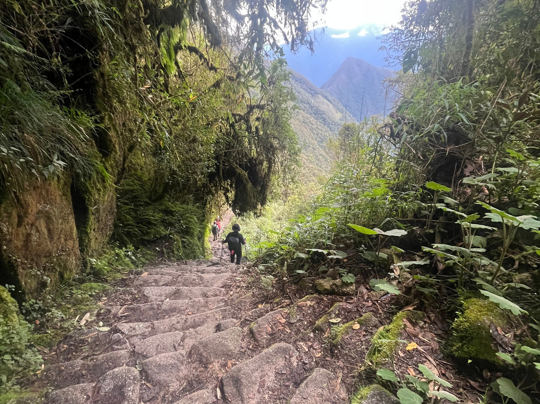 Alpaca Expeditions-库斯科必去景点