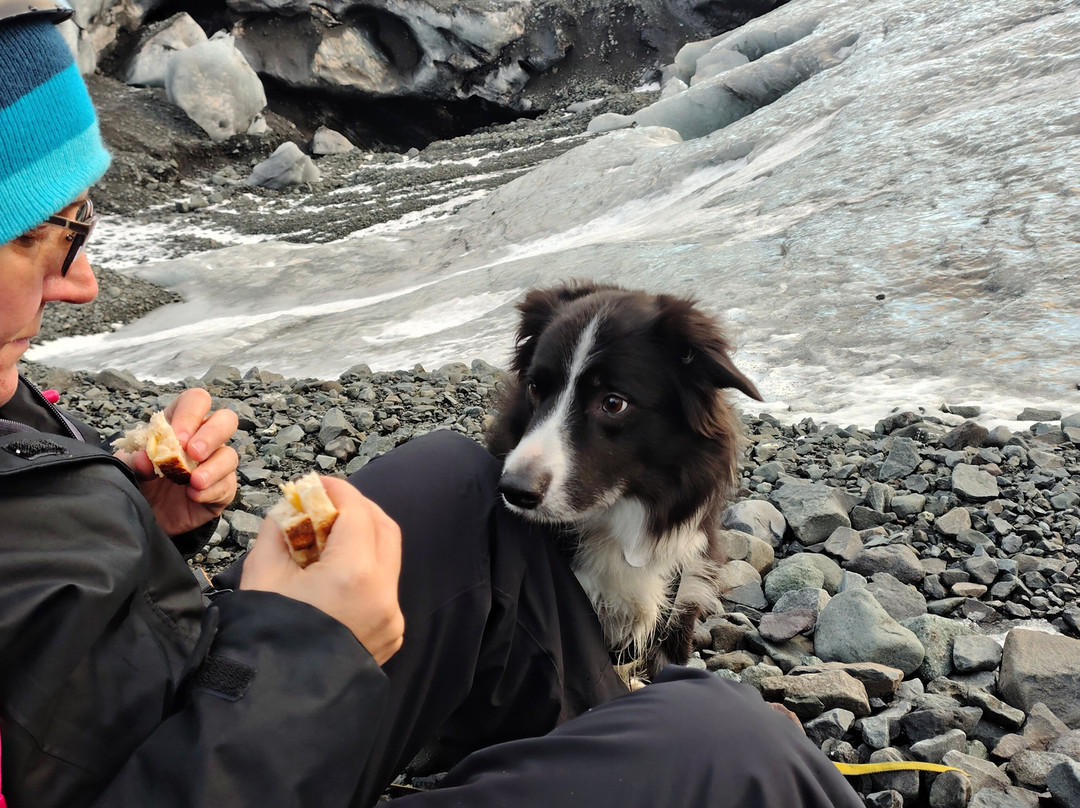 Heading North-Jokulsarlon必去景点