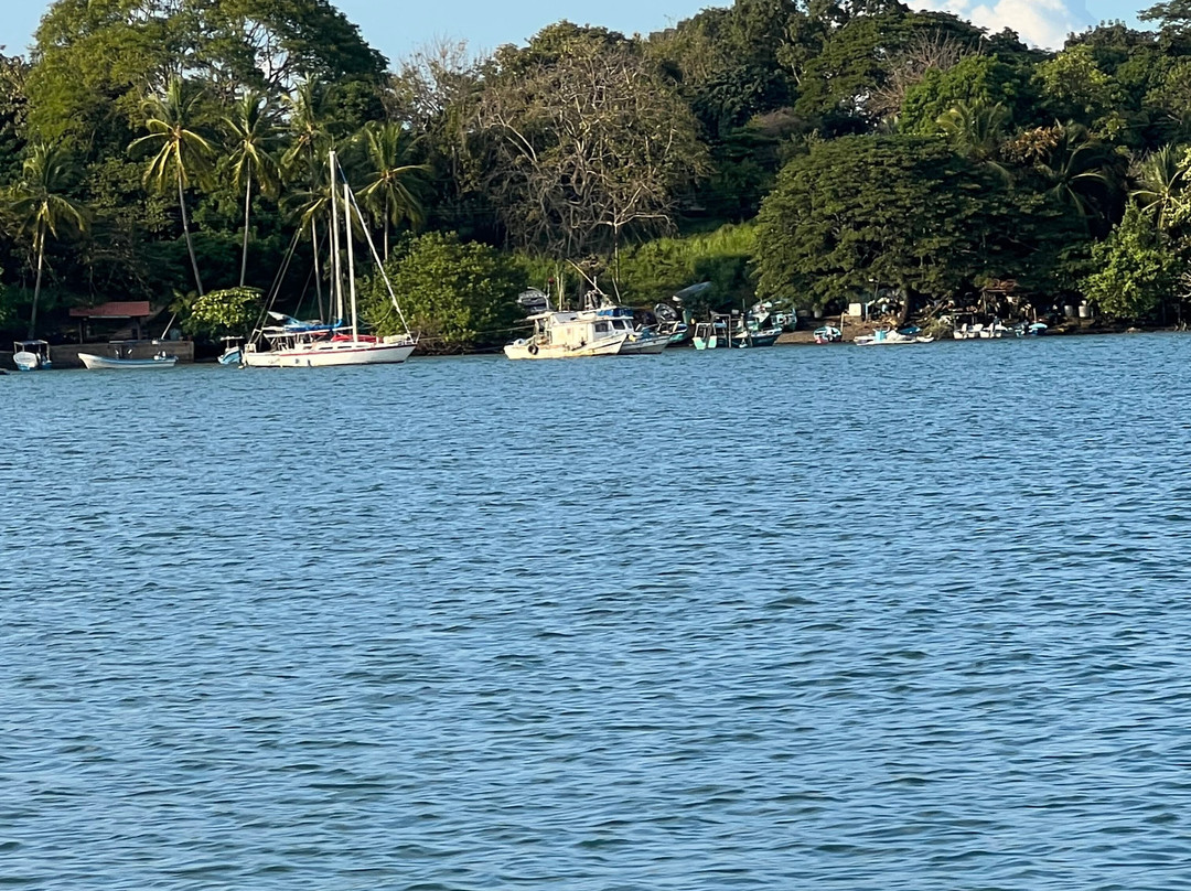 Bahia Rica Fishing and Kayak Lodge主图