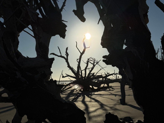 Barrier Islands Eco Tours-棕榈岛必去景点