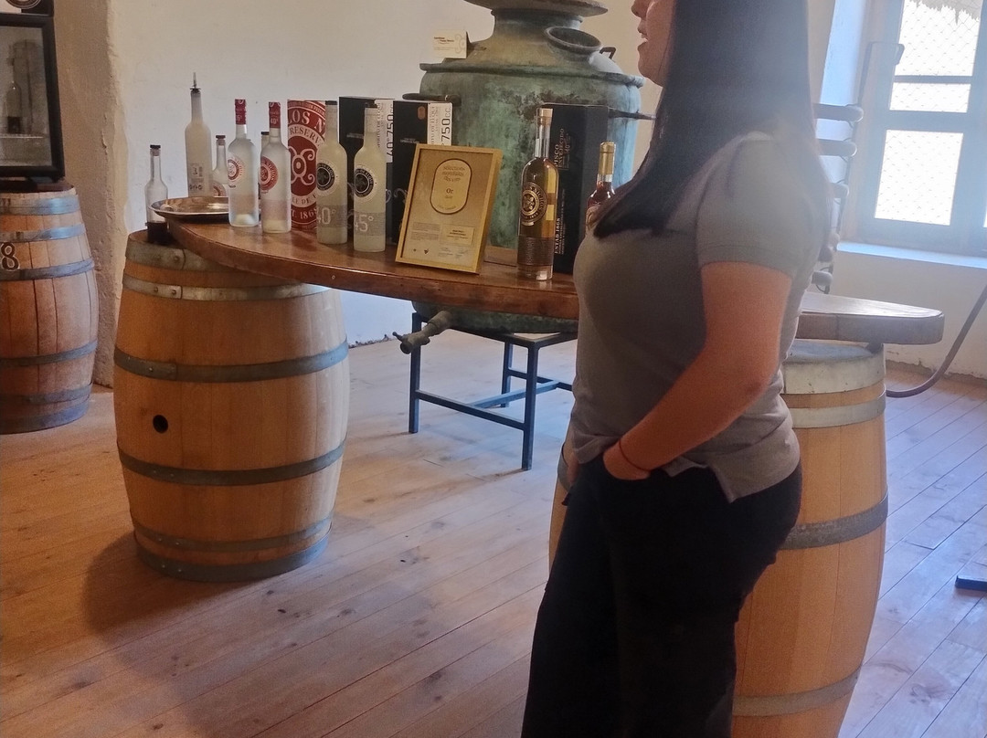 Fundo Los Nichos-Pisco Elqui必去景点