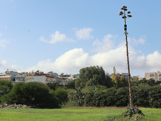 Spiaggia Scalo Mandrie-Portopalo di Capo Passero必去景点