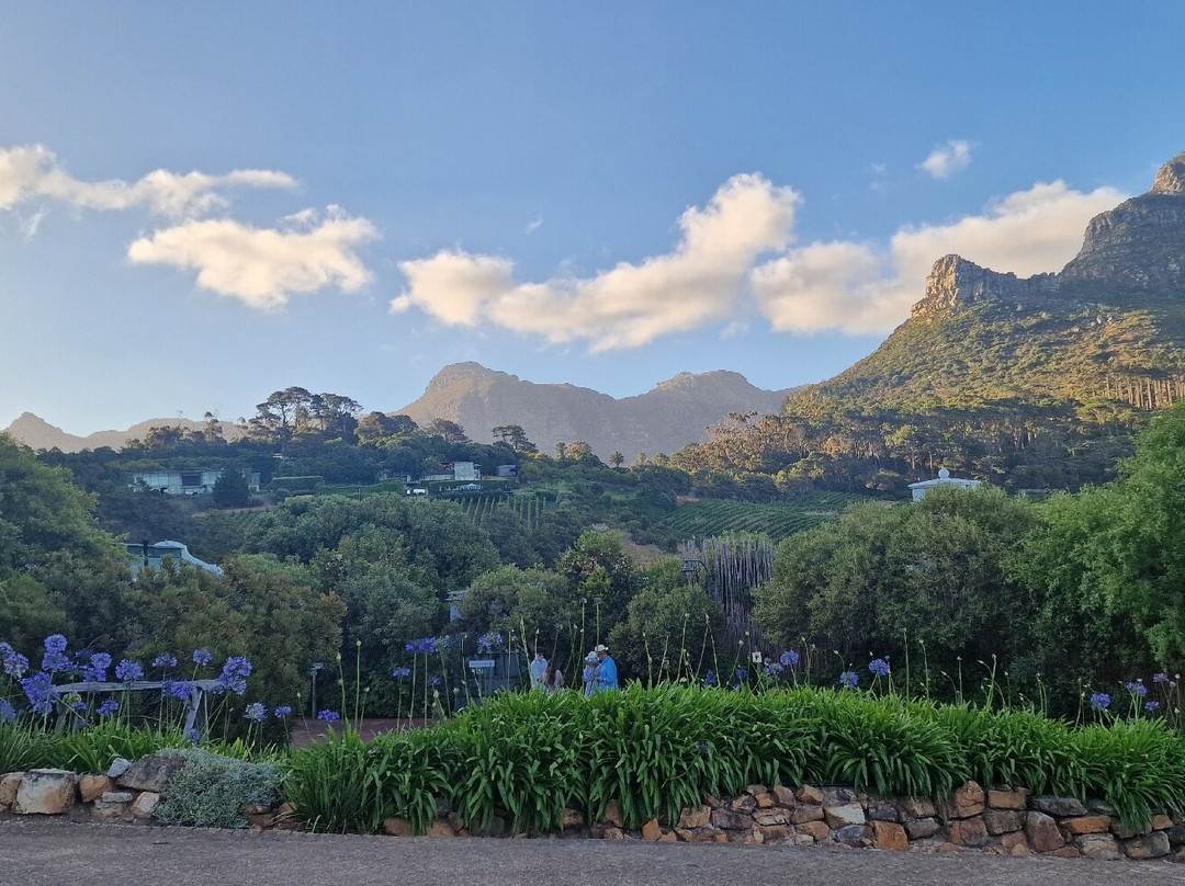 Constantia Glen Winery-康士坦提亚必去景点