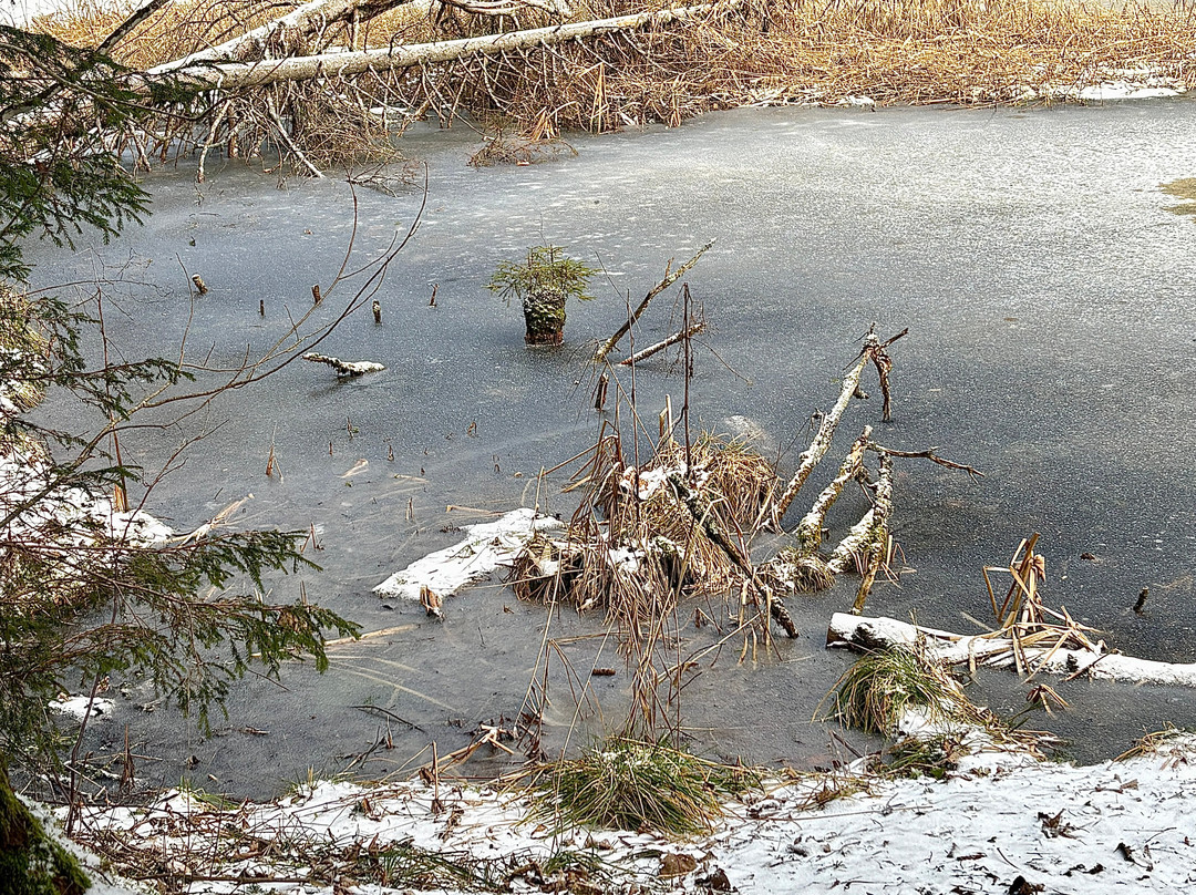 Etang de la Gruère-Saignelégier必去景点