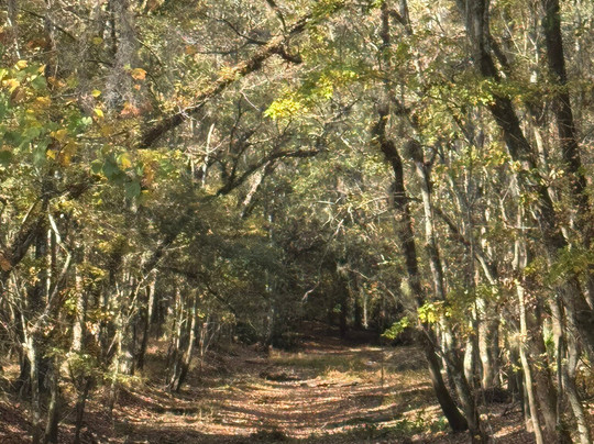 Jacksonville-Baldwin Rail Trail-杰克逊维尔必去景点