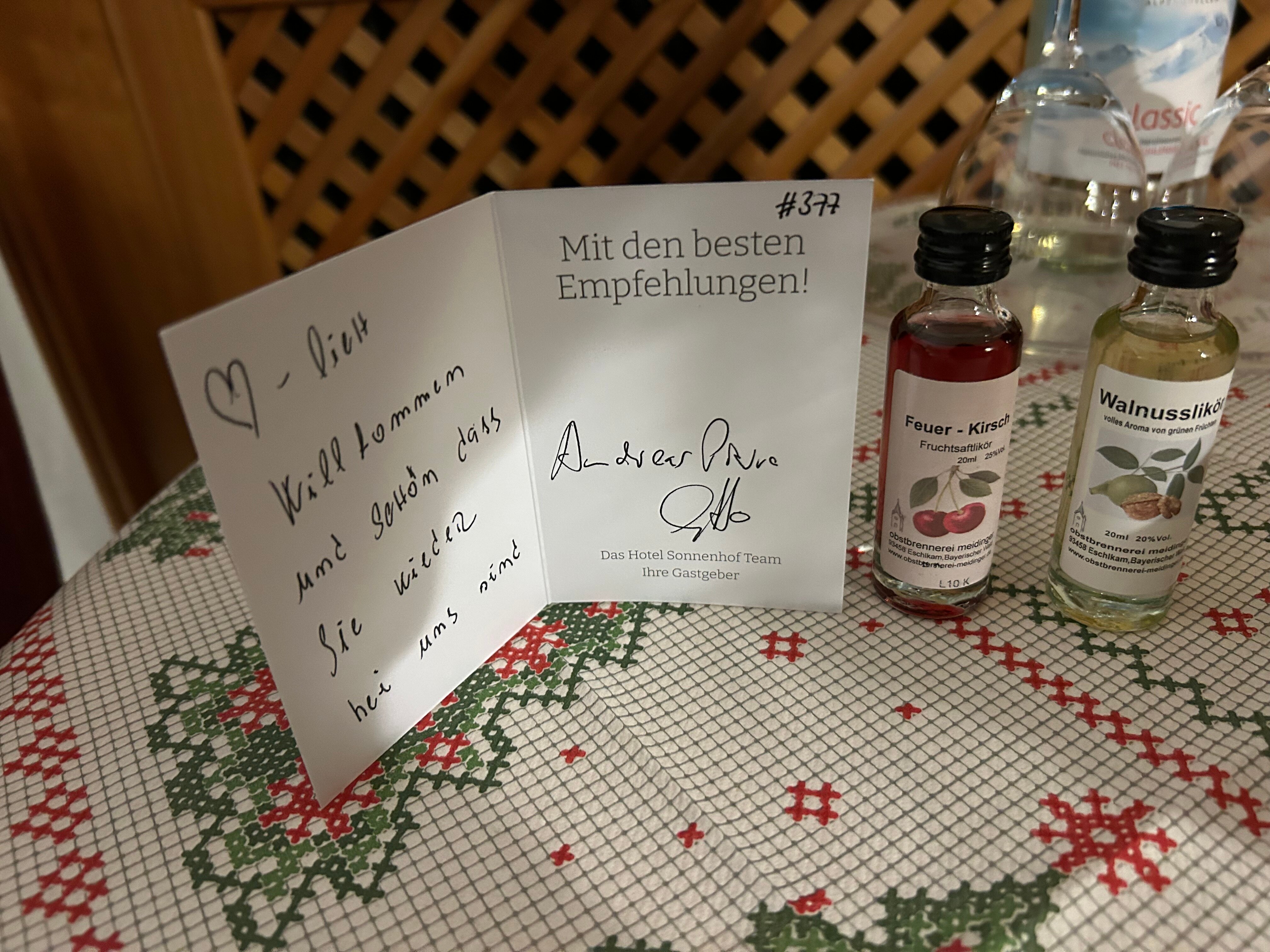 Hotel Sonnenhof Lam-客卧