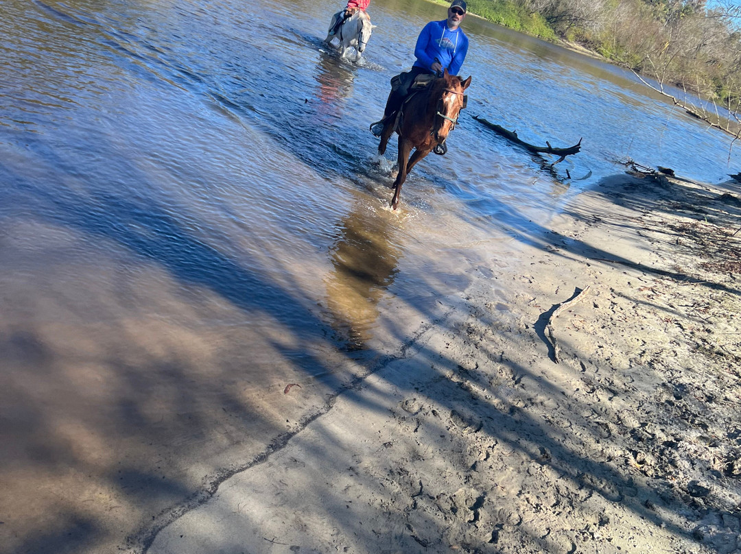Peace River Charters-阿卡迪亚必去景点