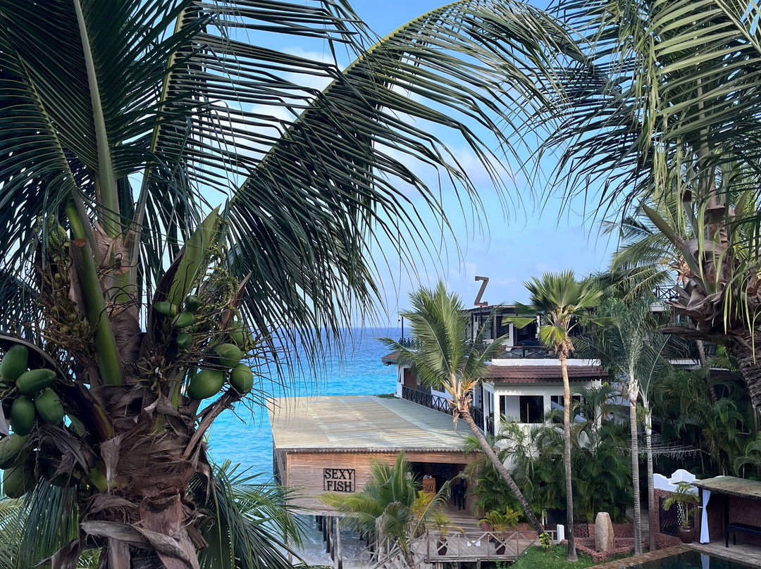 Z酒店-桑给巴尔主图