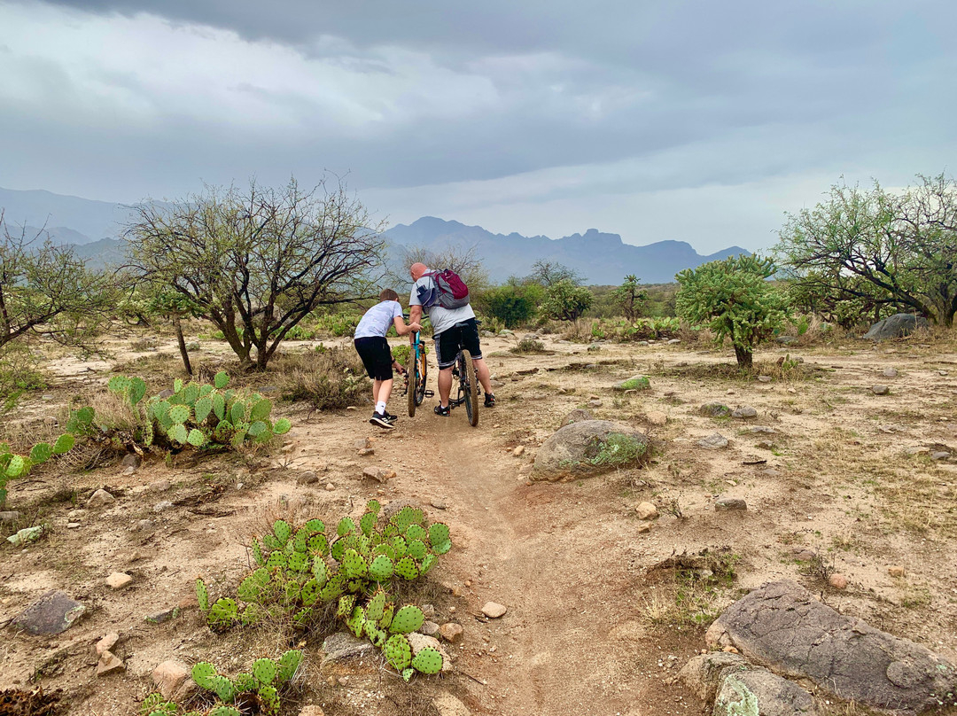 Catalina State Park-图森必去景点