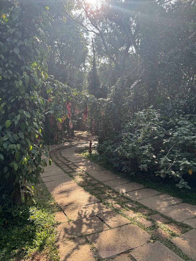 Vythiri Mist Resort-浴室