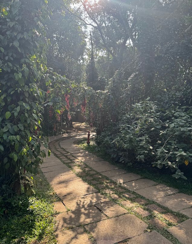 Vythiri Mist Resort主图