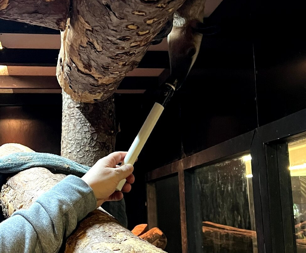 Little Ray's Nature Center-锡拉丘兹必去景点