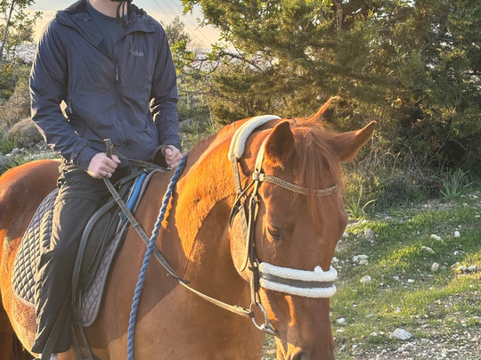 Horse Riding Paphos - Eagle Mountain Ranch-帕福斯必去景点