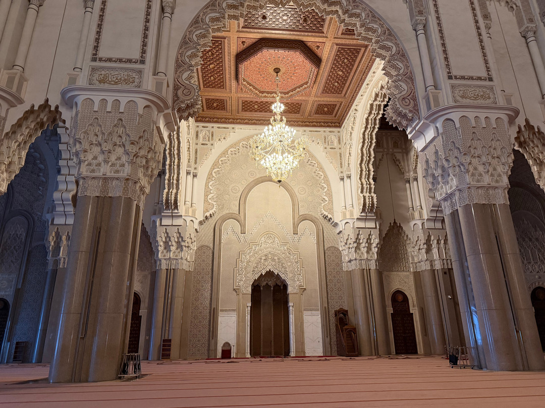 Travel Exploration Morocco Private Tours-瓦尔扎扎特必去景点