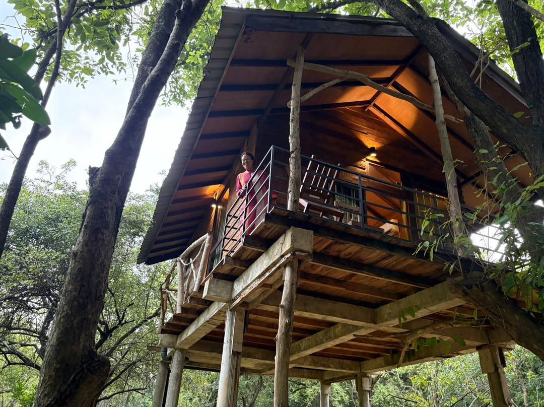 Tour with Jana-班达拉维拉必去景点