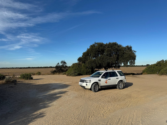 Discovering Donana-El Rocio必去景点