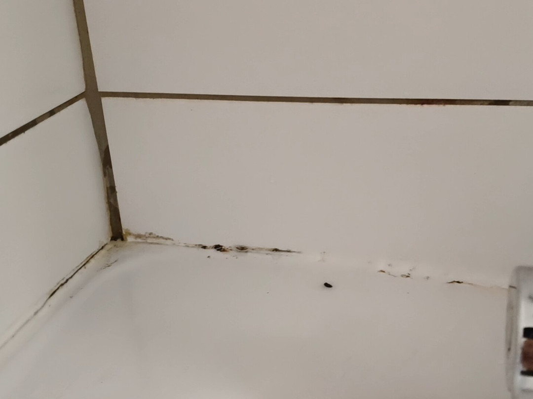 Ramada Bristol M5主图