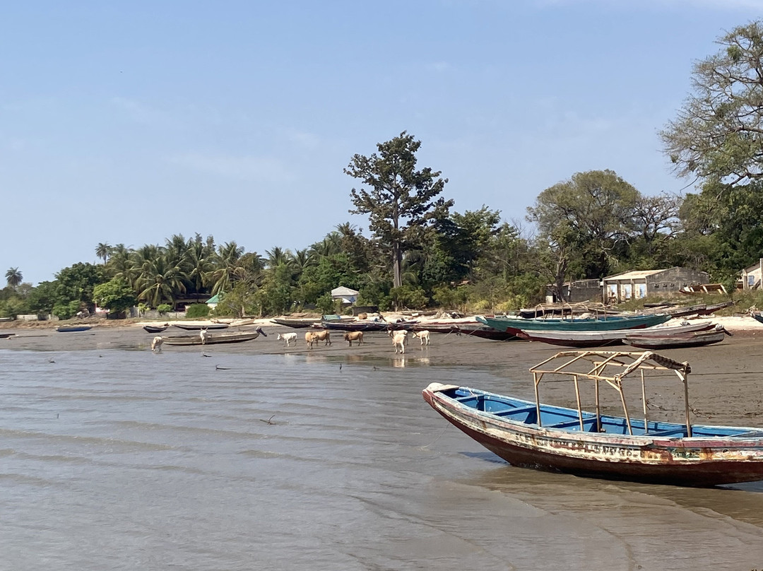 Tour Gambia-Brusubi必去景点