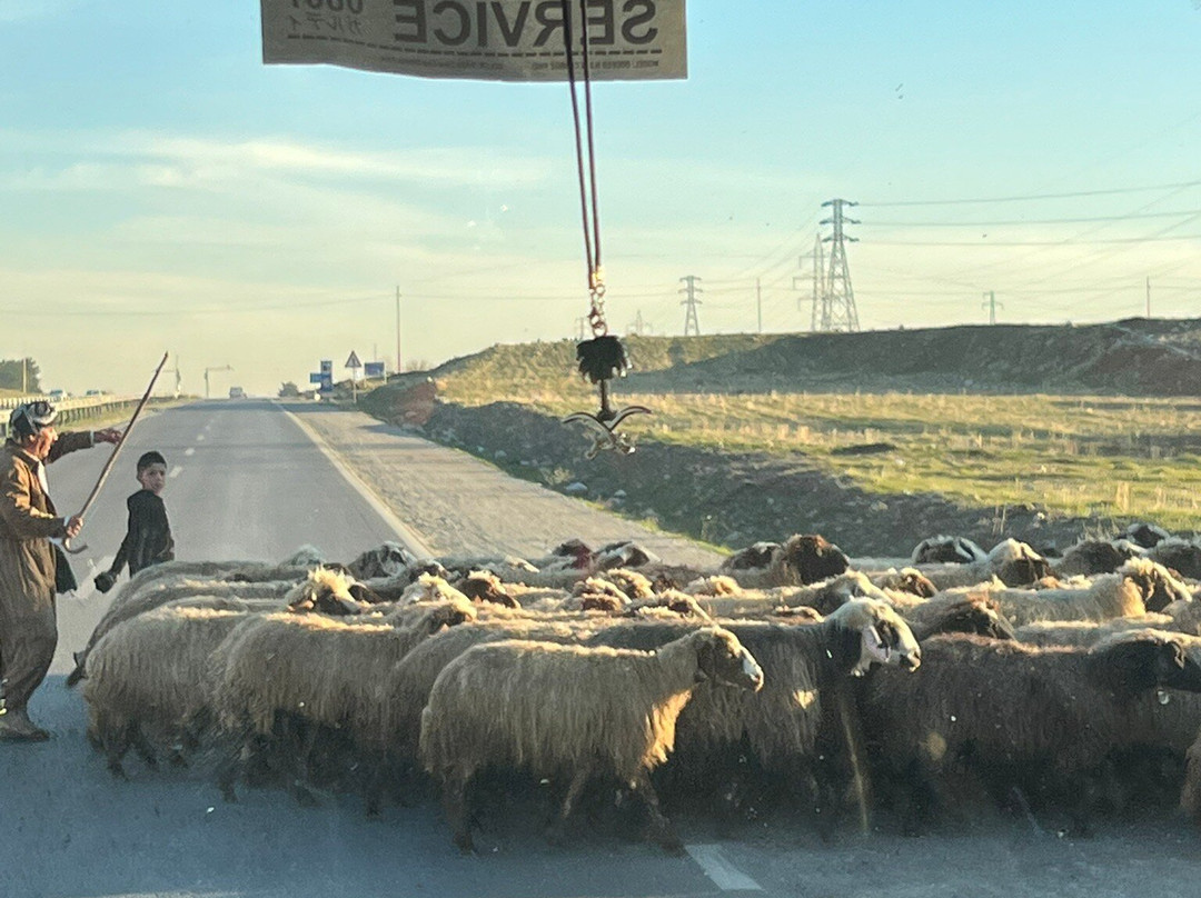 Aknaf Alsawary – Iraq Travel Agency-Baghdad必去景点