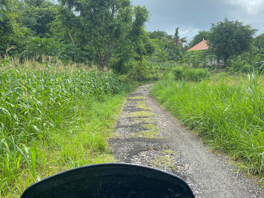 Manta Point-科莫多必去景点