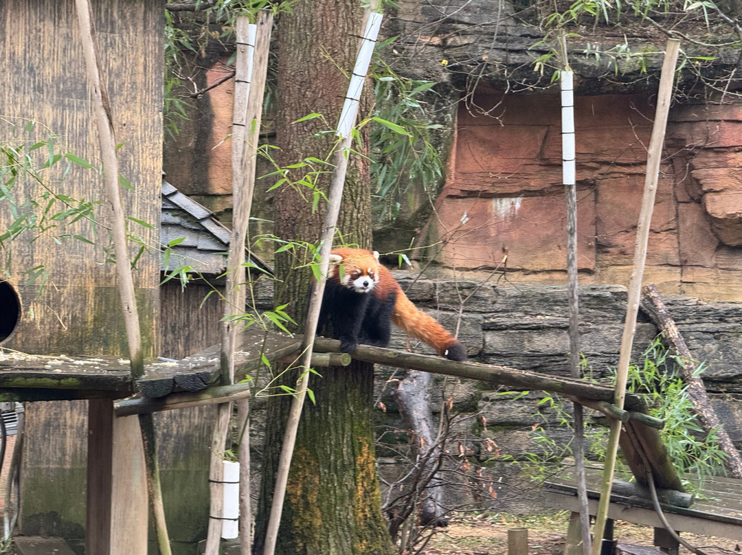 哥伦布动物园-Powell必去景点