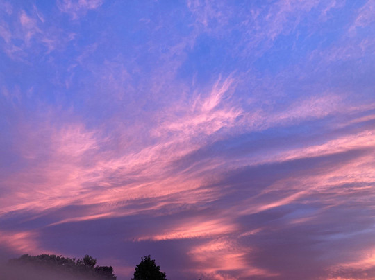 Thornton Beach Holiday Park主图