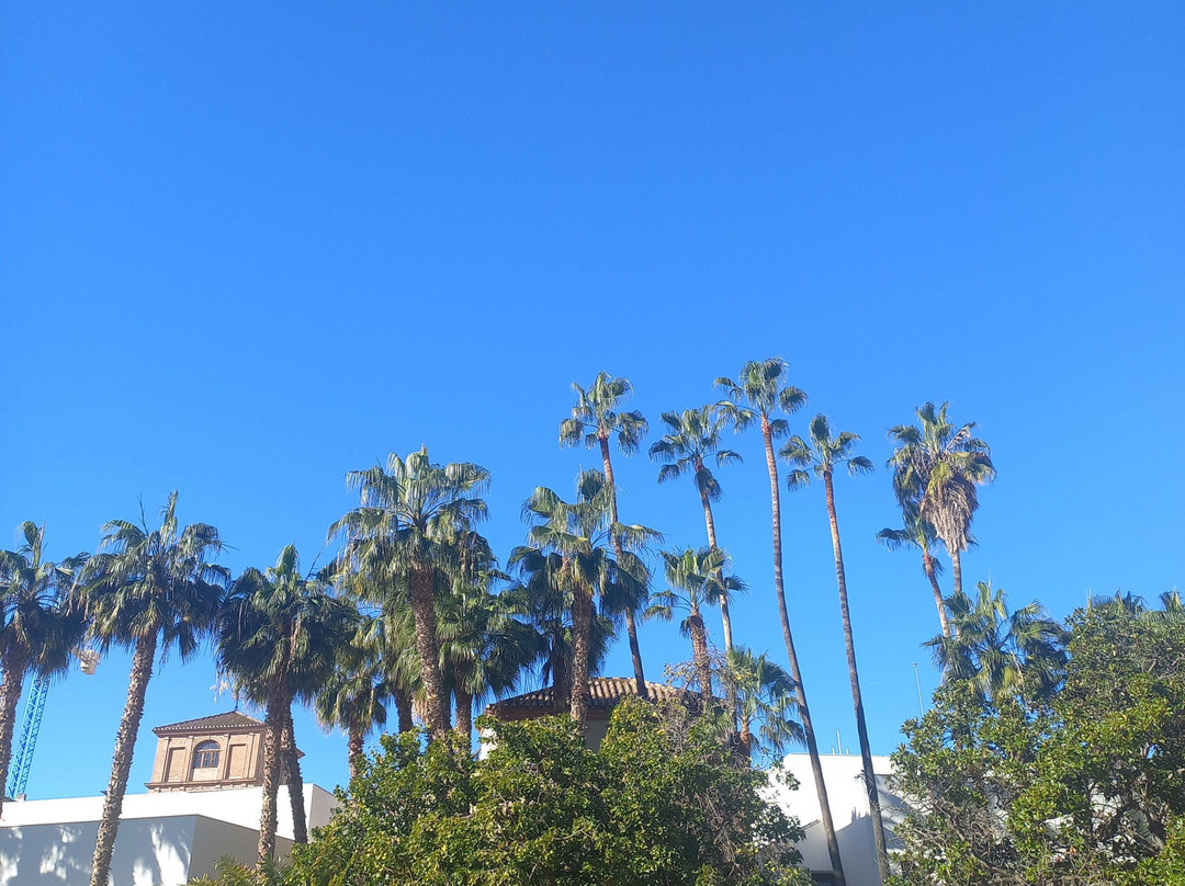 Explora Malaga-马拉加必去景点