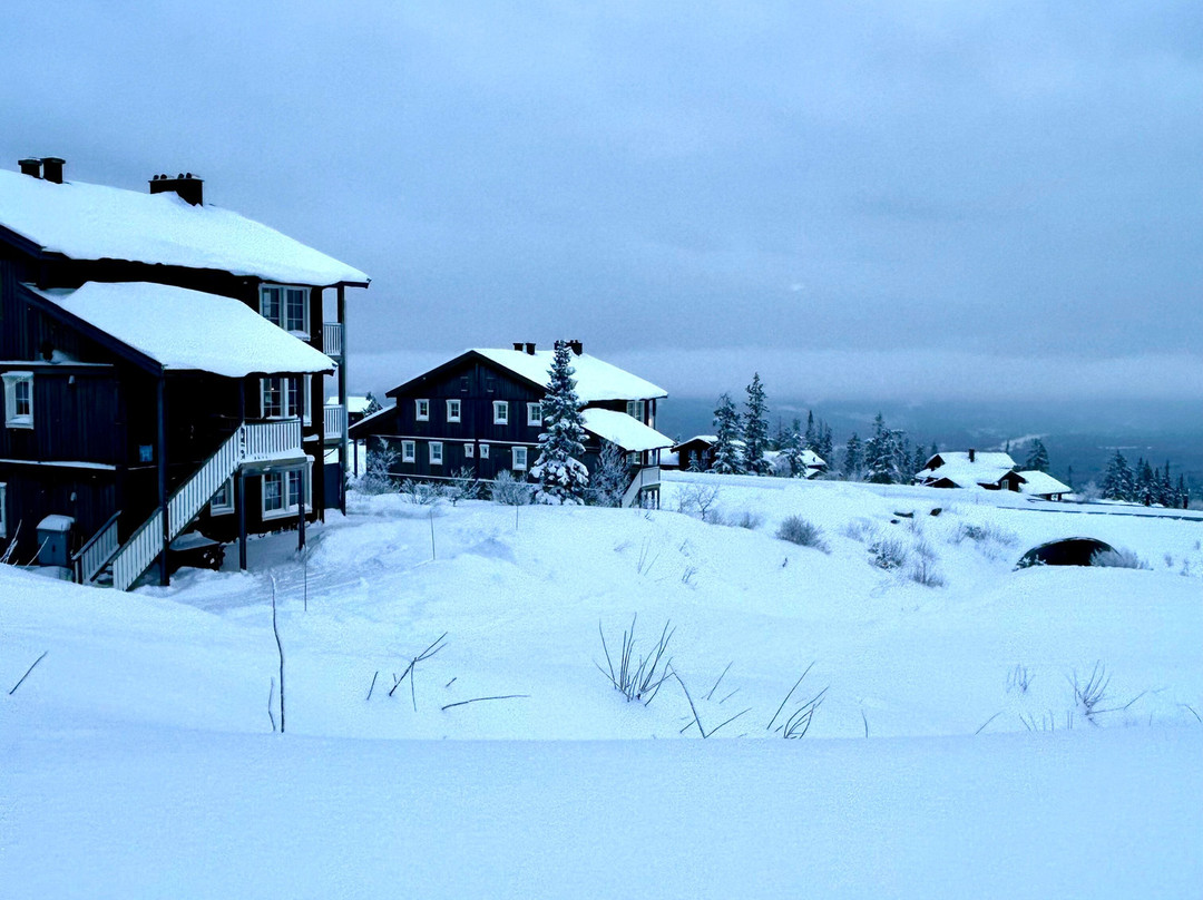 Skistar Trysil-特吕西尔市必去景点