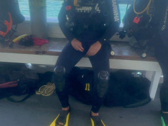 Narwhal-伊利亚贝拉必去景点