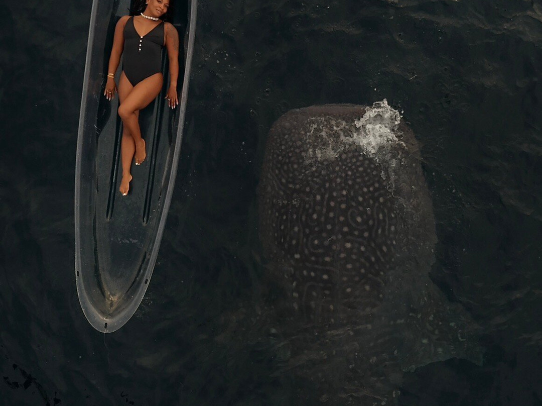 Sumbawa Holiday Tour-Sumbawa Besar必去景点