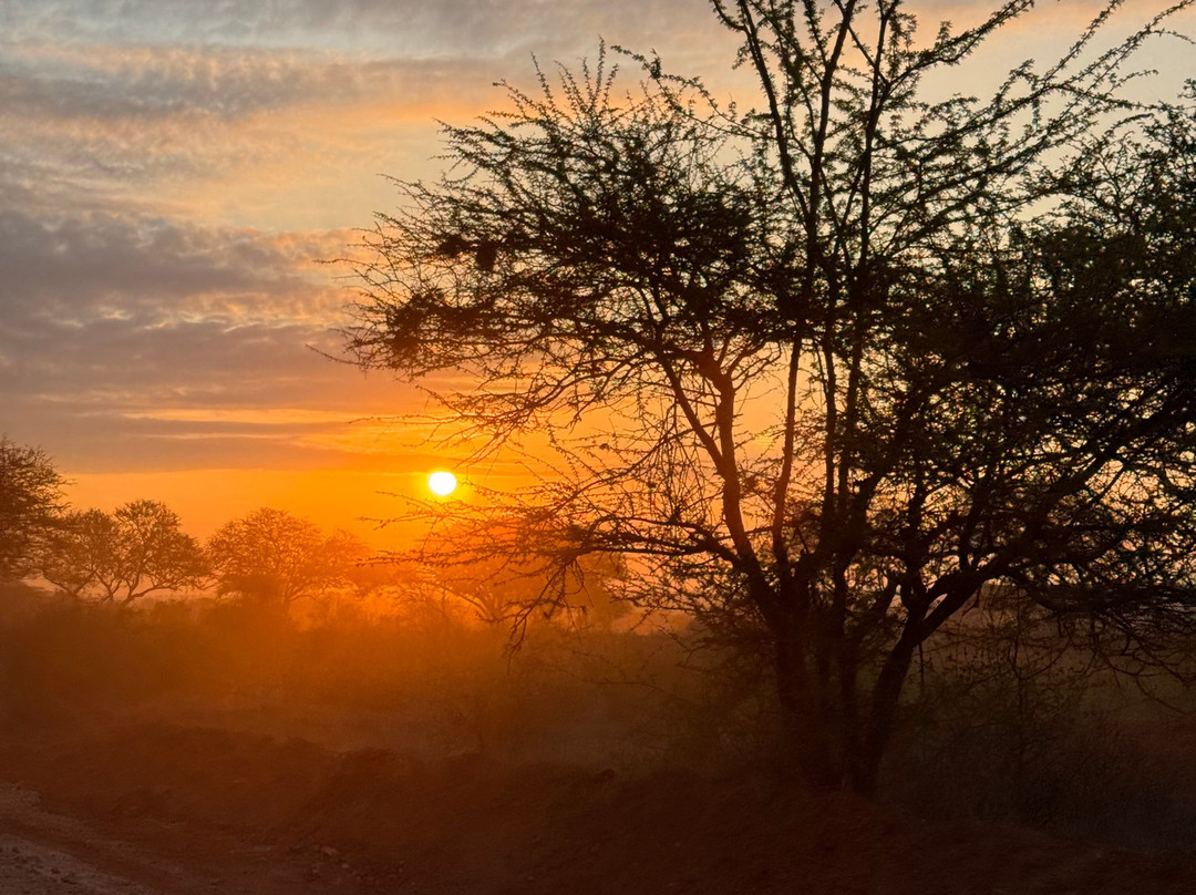 Watamu Diego Safari Day Tours-瓦塔木必去景点