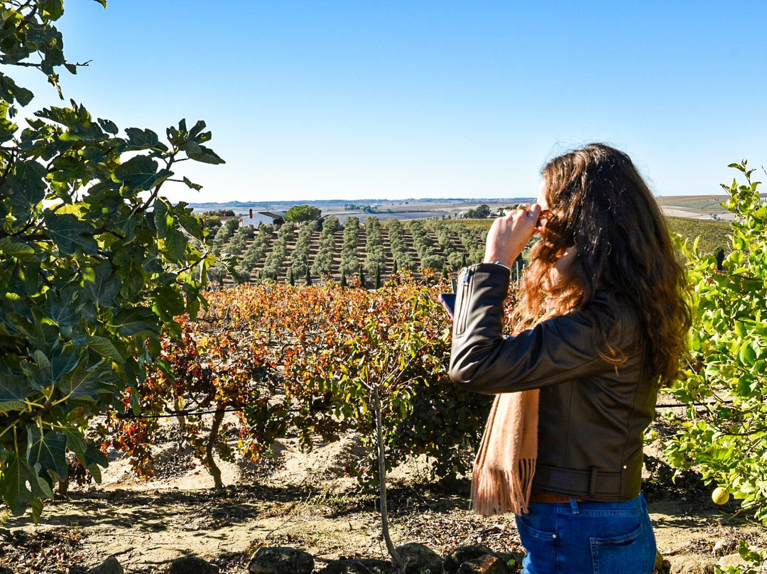 Bodegas Luis Pérez-赫雷斯德拉弗隆特拉必去景点