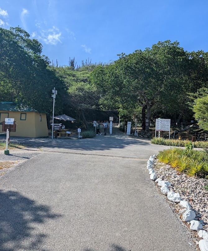 Hato Caves-威廉斯塔德必去景点