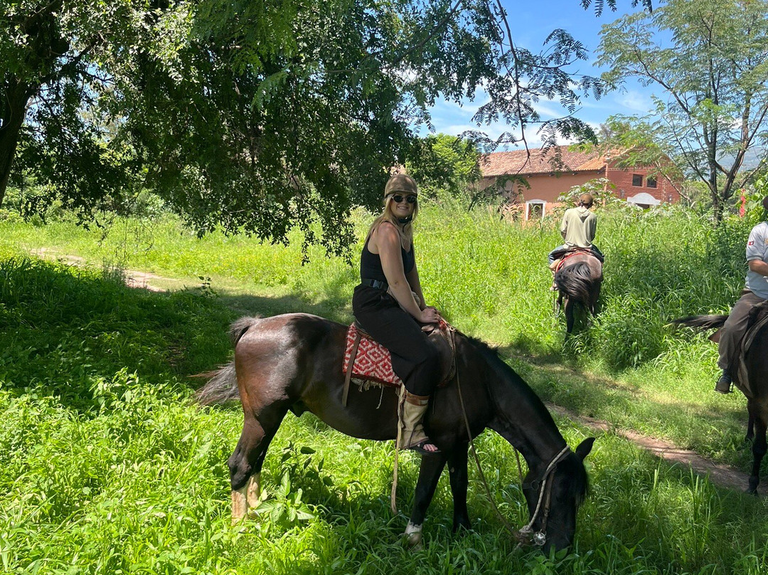 SAYTA-Chicoana必去景点