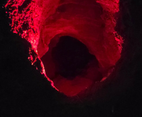 The Lost Sea Adventure-Sweetwater必去景点