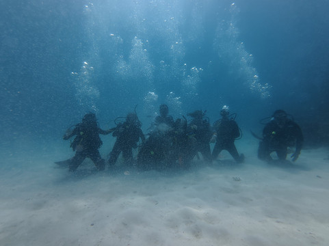 Mission Beach Dive-Mission Beach必去景点