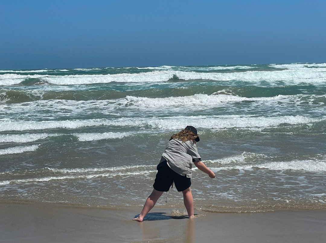 Spirit of the Coorong Cruises-Goolwa必去景点