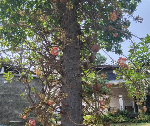 塔拉温泉度假村主图