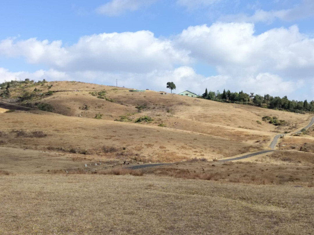 Mawphlang Sacred Forest-西隆必去景点