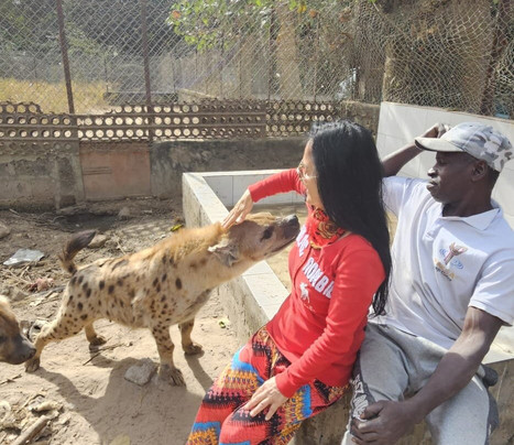 Abuko Nature Reserve-班竹必去景点