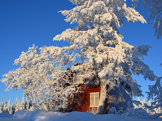 KuksaCabin-Jokkmokk必去景点