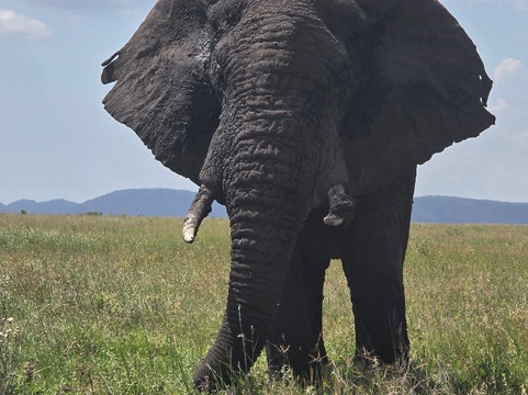 Key2Africa Safaris-阿鲁沙必去景点