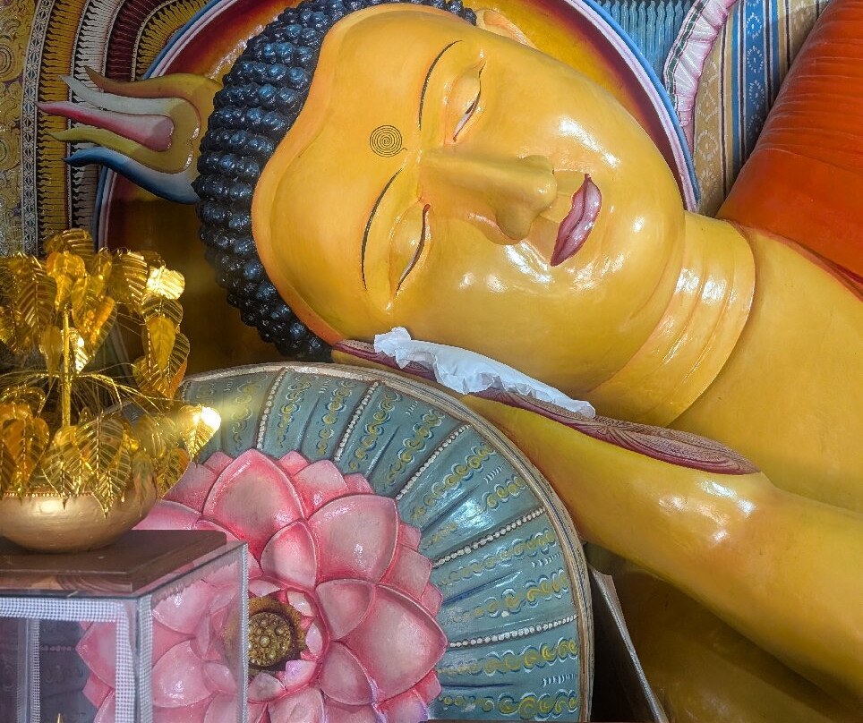 sun cycles work shop and hire-阿努拉德普勒圣城必去景点